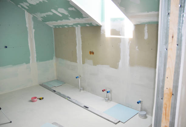 Best Attic Mold Removal  in St Ansgar, IA