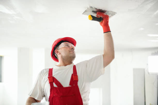 Best Water Damage & Mold Remediation  in St Ansgar, IA