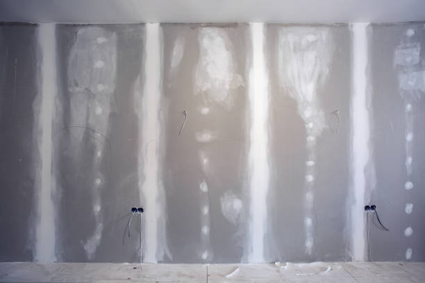 Best Commercial Mold Inspection  in St Ansgar, IA